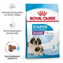 ROYAL CANIN Giant Starter 15kg 12 ROYAL CANIN Giant Starter 15kg -Hundebedarf 3beccea1b7a54f071e3de1ab111abf9f755358d0 3182550778831 1