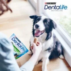 DentaLife PURINA Hunde Zahnpflege-Snacks Großpackung Medium, 84x 11 DentaLife PURINA Hunde Zahnpflege-Snacks Großpackung Medium, 84x -Hundebedarf 3d22bf74a99660236ce1548620fac8aa3ac8818f 7dac1d18ca011066644ad899fee9fa3bcb5974f5