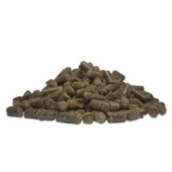Fit-Crock Active Lamm Mini 10 Kg -Hundebedarf 3edbf55f56cc4dd43484fd35f2563a66262dd1d4 1669874 de DE 52bd6a6bc5fa0ae242f9ef2e3e5c244e2c60d33a5yjlcR