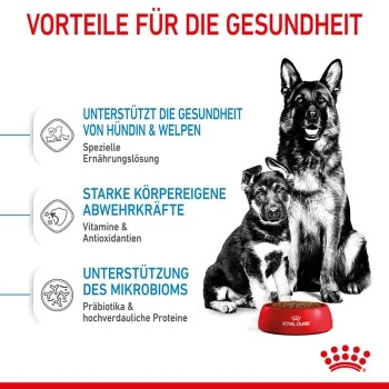 ROYAL CANIN MAXI Starter 15kg 6 ROYAL CANIN MAXI Starter 15kg – Bild 4