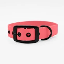 THE DOG IDEA Biothane Halsband Coral Schwarz S 9 THE DOG IDEA Biothane Halsband Coral Schwarz S -Hundebedarf 3fa764ed11770f5441df17db28eb054be4c60c1a 1679192 de DE d216a06a81c92aca38c61d46cb91e0f892cbd4ceiEVE4n