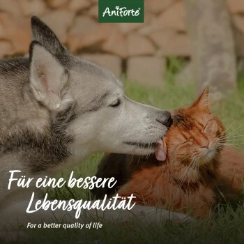 Aniforte Silberwasser Spray 250ml 4 Aniforte Silberwasser Spray 250ml – Bild 2