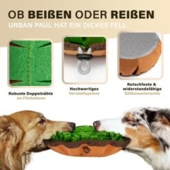 URBAN PAUL Schnüffelteppich - Grün -Hundebedarf 41b69e30147446053fcf1ef3a5c0ef4e586c3637 1477263 de DE f3d4dc055420076a5d6665754e59033e977ead92pVbA3s