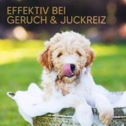 Pawlie's Welpenshampoo 13 Pawlie's Welpenshampoo -Hundebedarf 42f9c58257fb2002e5c33c2d81bd829c9adeb1cc 1626204 de DE 8b17d3990cf88ea437c76c60b6848183bc9636a5a44ihJ
