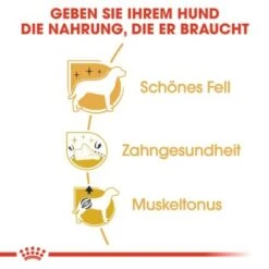 ROYAL CANIN Poodle Adult 7,5 Kg -Hundebedarf 4355b892883386eeffdea0883bc90c793459812d bc34c65453008173386e7fdf784644e070da89b9