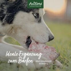 Aniforte BIO BARF Püree - Süßkartoffel & Birne 5 X 150g -Hundebedarf 43840a3c15c4bad1cb13066574c4dc248ce010f7 1472619 de DE 02aa3ec23246cc432cc773deaddf4df45031f6456pXI4Q
