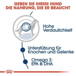 ROYAL CANIN Maxi Adult 10x140g -Hundebedarf 440b23de4c128b8ae1977a24bcd97a26b0177694 704c1242d80d157ff6726c66cf899e61e070edef