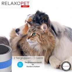 RelaxoPet EASY Tierentspannungs-Trainer Für Hunde Und Katzen -Hundebedarf 4476be157af12df554867b6e93f144b9ceb36a4a 1396143 de DE d434b17460c4f49edf8862d0c0ea4bbeca4221e3ODM7na