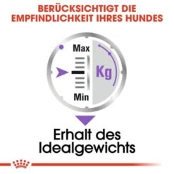 ROYAL CANIN Sterilised Adult Pouch 12x85g -Hundebedarf 45e02793655c2fec0d84c4180b5e7ffca82a1190 4f20f1aabeb1096d34b19ef0cb33f9021f6a7537