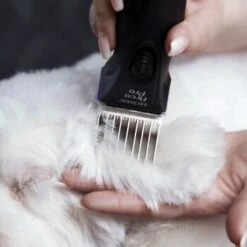 Moser Schermaschine Arco Pro 20 Moser Schermaschine Arco Pro -Hundebedarf 4a8923d4e135d6dcdc4b5babae8a3f589e005869 01419b78963226934274d63a024e8d91d3673041