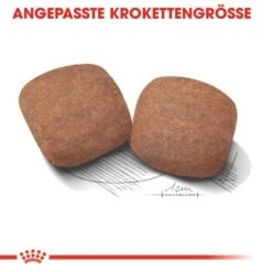 ROYAL CANIN Giant Adult 15 Kg 13 ROYAL CANIN Giant Adult 15 Kg -Hundebedarf 4c478da0f3ca9a9bc8202b37d8335a9549df794f 3ed1e2718483704e470cb89d919125128aaf9407