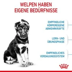 ROYAL CANIN Maxi Puppy 10x140g 13 ROYAL CANIN Maxi Puppy 10x140g -Hundebedarf 520cede8431c2f7bd9b6dfd8e89114d545b17958 3182550402163 4