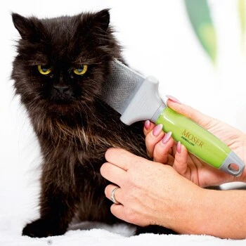 Moser Flexible Zupfbürste - Zweiseitig 5 Moser Flexible Zupfbürste - Zweiseitig – Bild 3