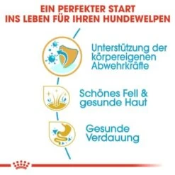 ROYAL CANIN Shih Tzu Puppy 1,5kg 16 ROYAL CANIN Shih Tzu Puppy 1,5kg -Hundebedarf 56d85e3b7a854f0c3c469e43d2c3c37f7c39b9f9 bd7c3ec6924c08deee4e224cb6dc47b8888a62ab