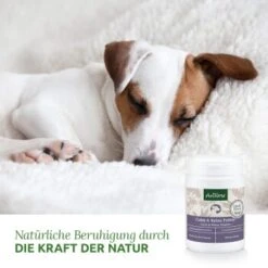 Aniforte Calm & Relax Kräuter 100g 8 Aniforte Calm & Relax Kräuter 100g -Hundebedarf 59d8edf488dbbfa5326d02c9bc480ebe764b40aa 1477975 de DE 8fdc0dbb13dd77bc918a019d832ea481c7670a35vrdXJ1