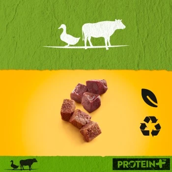 Pedigree Dose Protein+ In Pastete 12x800g Rind Mit Ente 5 Pedigree Dose Protein+ In Pastete 12x800g Rind Mit Ente – Bild 3