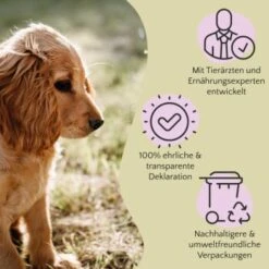 FAVLY Petfood PURE Bites Lamm 360 G -Hundebedarf 5d7b6f7ff0cad3d69d8328aff31a8cc220780e0f 1474004 de DE cfc8e2f3174986d5e2d5f456c501da9d9b200fe9C0H0tH