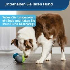 PetSafe Elektronisches Hundespielzeug Ricochet -Hundebedarf 5eadda9b8e1c472d17e8160a968897c5f1589a26 1418724 de DE f0080b3bce77c44349e2b70b9453ceaf44e2d3d6nqnVTG