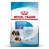 ROYAL CANIN Giant Starter 15kg 2 ROYAL CANIN Giant Starter 15kg -Hundebedarf 5f3595cccd9b67c0c0cf6c606074766948adbe14 3182550778831 11