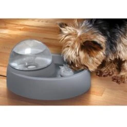 Numaxes Eyenimal Trinkbrunnen 1,5l 8 Numaxes Eyenimal Trinkbrunnen 1,5l -Hundebedarf 612512ae3e55fd25731acfc2a0abcdc5bfeba8fb b7754bc2b320ccef10b70045a810474d6996a8cb