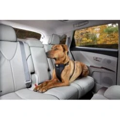 Kurgo Sicherheitsgeschirr XS 11 Kurgo Sicherheitsgeschirr XS -Hundebedarf 619516b10b1c8b18d6ea7d46179dd9d07183e503 a6b01c753702cf19a2c027a527b9c62fcb6429b2