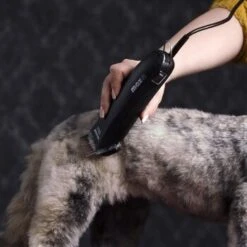 Moser Schermaschine Max 45 Inkl. ASK 10 Moser Schermaschine Max 45 Inkl. ASK -Hundebedarf 65133088ba136d425f35dd483b34ae61c5e8b1c4 080d5e15fa2a49473a689925f30b8711ef011135