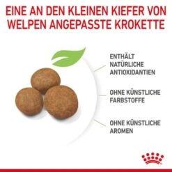 ROYAL CANIN Maxi Puppy 10x140g 15 ROYAL CANIN Maxi Puppy 10x140g -Hundebedarf 6723f14d5672858ba8db8638c69d0eba948bb8dd 3182550402163 6