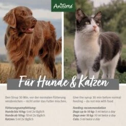 Aniforte Ulmenrinde 100 G -Hundebedarf 6844553751b5b8e03a1bb129a8a2591ba4eb2f73 1332939 de DE de3a0d43a9558905dce3688643de1dd30a234084IPDVe7