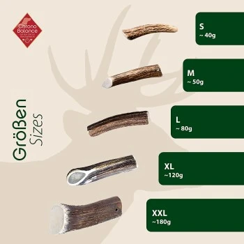 ChronoBalance Geweih Halbiert (S) 2er Paket 8 ChronoBalance Geweih Halbiert (S) 2er Paket – Bild 6