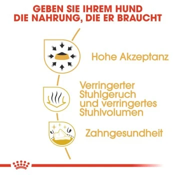 ROYAL CANIN Chihuahua Adult 1,5 Kg 7 ROYAL CANIN Chihuahua Adult 1,5 Kg – Bild 5