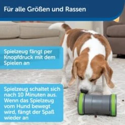 PetSafe Selbstbewegendes Belohnungsspielzeug Kibble Chase -Hundebedarf 6b1920cf9ffb6c6b92c0e3f50bf6b7d9033e9fd6 1418726 de DE a1feae64cba24999500088d436e08df6fdbd0a02Zb2Mjr