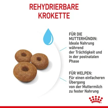 ROYAL CANIN MAXI Starter 15kg 7 ROYAL CANIN MAXI Starter 15kg – Bild 5