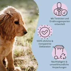 FAVLY Petfood Nature Cookies Pute 360 G -Hundebedarf 6c9d1abe0a2c3e1ebe66676a84af974447985b3a 1474002 de DE 8376156006fe9b222994c99185dc131fb988c3c2LLZ2OM