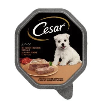 Cesar Junior 14x150g 3 Cesar Junior 14x150g