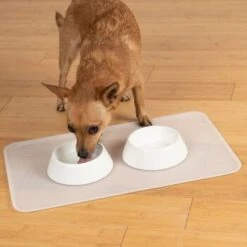 KaraLuna Basic Napfunterlage Transparent S 15 KaraLuna Basic Napfunterlage Transparent S -Hundebedarf 6f92b46b9666870298738b4bee75a50ee534fac6 1407499 de DE 14497c23a79b7136237df13f9c32b5ed84fd5ff04vyZgl