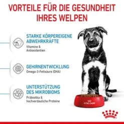 ROYAL CANIN Maxi Puppy 10x140g 11 ROYAL CANIN Maxi Puppy 10x140g -Hundebedarf 726a99c8ae223a8a5713e5eebf41ef80f580fe60 3182550402163 5