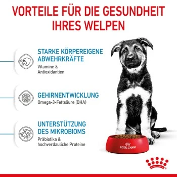 ROYAL CANIN Maxi Puppy 10x140g 5 ROYAL CANIN Maxi Puppy 10x140g – Bild 3