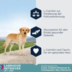 EUKANUBA Breed Specific Labrador Retriever 12 Kg -Hundebedarf 7759d7148bcca10f74cbba4e63a8bc8e7586a20c 5eddc324ca4cd16b661e8f0f956a0577e0140b3a