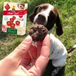 ChronoBalance Backmischung Für Hundekekse Getreidefrei + Form Mit Apfel & Dinkel 15 ChronoBalance Backmischung Für Hundekekse Getreidefrei + Form Mit Apfel & Dinkel -Hundebedarf 791cb4d2028c3feba1e17eb7afcd1dc0477a3e51 1409548 de DE 8fa4e8db7b8a77ca60b4ef08f2d4cbbb72f1ad0bO5ya0q