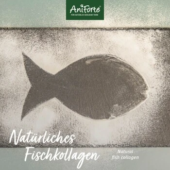 Aniforte CollaMove Kollagen Dog 250 G 5 Aniforte CollaMove Kollagen Dog 250 G – Bild 3