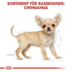 ROYAL CANIN Chihuahua Puppy 1,5 Kg 14 ROYAL CANIN Chihuahua Puppy 1,5 Kg -Hundebedarf 7dd2fdf31fbafe12844b77541531374b85a5dbbf 5c9b8e420f544ce443bc0dcd34b99a937a14a2be