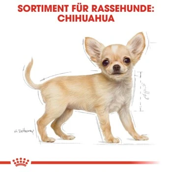 ROYAL CANIN Chihuahua Puppy 1,5 Kg 7 ROYAL CANIN Chihuahua Puppy 1,5 Kg – Bild 5
