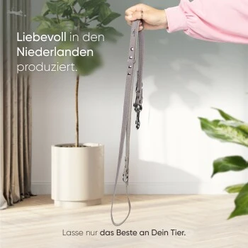 Freudentier Führleine Aus Leder Braun/ Grau 2 Cm 3 Freudentier Führleine Aus Leder Braun/ Grau 2 Cm – Bild 2