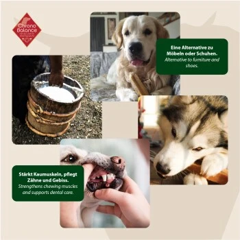 ChronoBalance Kuhmilch Käsestick (XL) 2er Paket 5 ChronoBalance Kuhmilch Käsestick (XL) 2er Paket – Bild 3