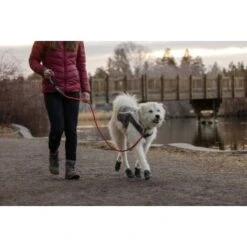 Ruffwear Just-a-Cinch™ Leine Rot 21 Ruffwear Just-a-Cinch™ Leine Rot -Hundebedarf 810d255f702c333fe767503a477f8deb0416cca1 1651622 de DE 84ea7394ca3be445f5b69f032bbb3135c9273b35awu41q