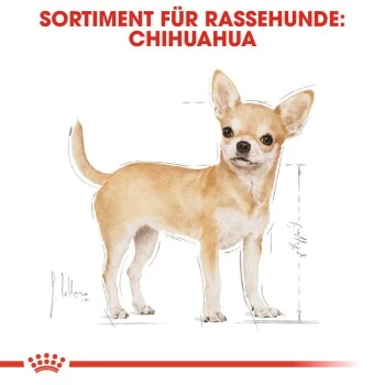 ROYAL CANIN Chihuahua Adult 1,5 Kg 8 ROYAL CANIN Chihuahua Adult 1,5 Kg – Bild 6
