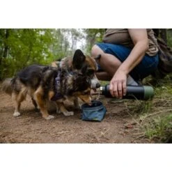 Ruffwear Great Basin™ Napf Schieferblau S -Hundebedarf 824b44ccf17c67c3dd43e5523941633c95efed85 1651551 de DE fad827ec7223895423979e3215d64ffaeae47c26HGRUuZ