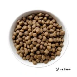 Eat Small EatSmall 2x10kg Mini Balance Trockenfutter -Hundebedarf 8344f309c9cef112bbeb249ec41591f4b745bfd8 1480036 de DE ef1a1257b12edf1ce0a516e027bab83024c70daeSEjjCj