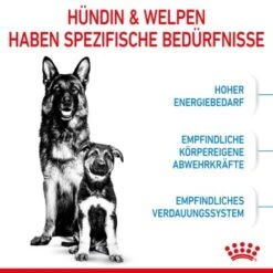 ROYAL CANIN MAXI Starter 15kg 13 ROYAL CANIN MAXI Starter 15kg -Hundebedarf 84509061cc88bbba93af28332fe80ae82ca37ef9 1044296 de DE royalcaninwb2