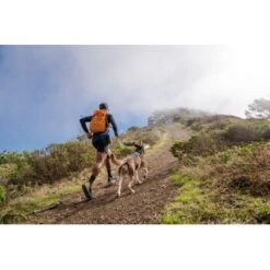 Ruffwear Hi & Light™ Geschirr Blau XXXS -Hundebedarf 84fb3768d76aaadc77eacf0db0051f1af74c62df 1453085 de DE 781043d5a0c42f3d294eead840f1254891671d23roVLy1